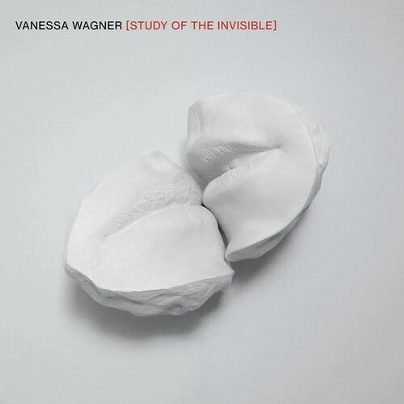 Wagner LP Vinyl - Study Of The Invisible (2Pk)
