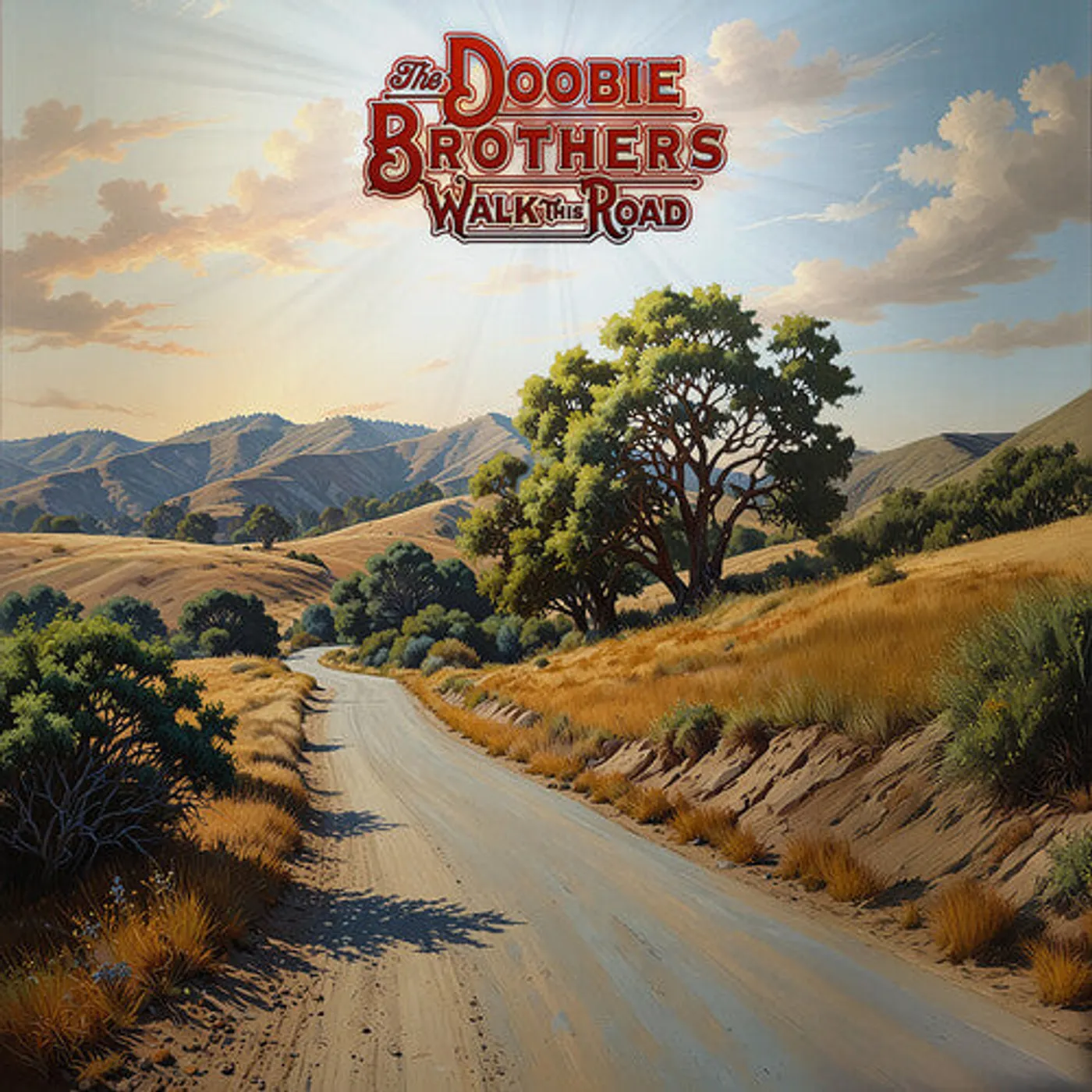 The Doobie Brothers LP Vinyl - Walk This Road