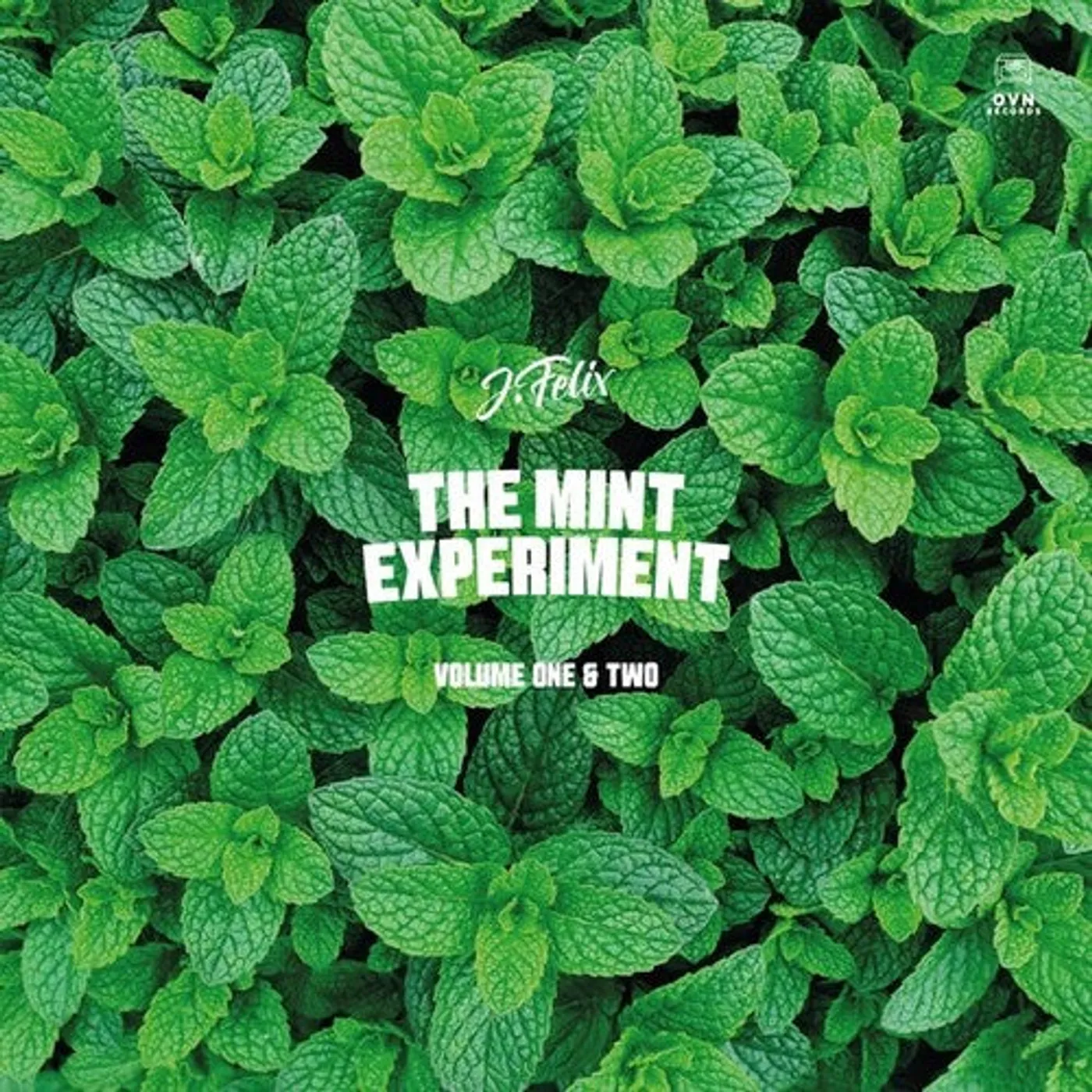 J-Felix LP Vinyl - Mint Experiment V. 1 & 2