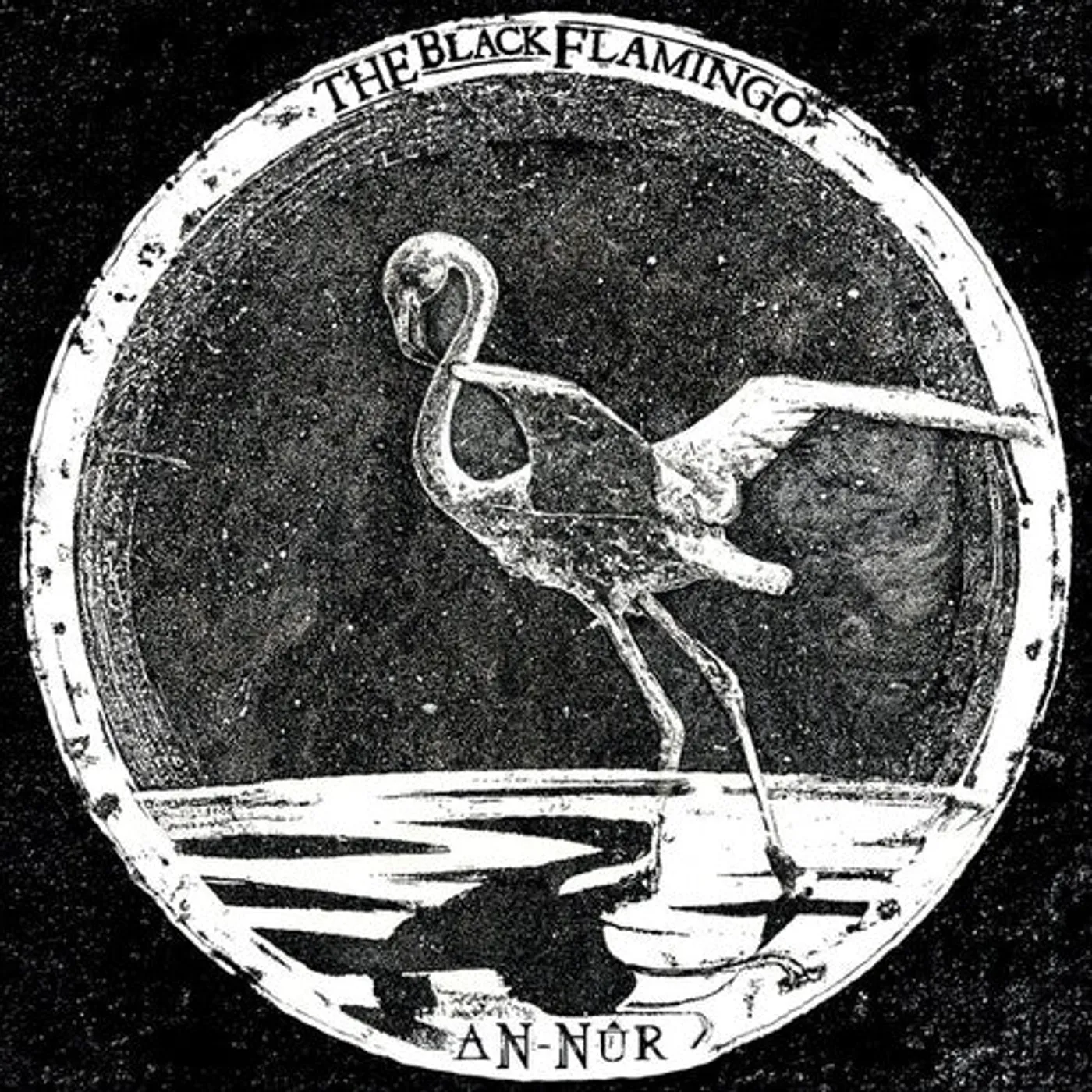 Black Flamingo LP Vinyl - An-Nur (Coloured Vinyl)