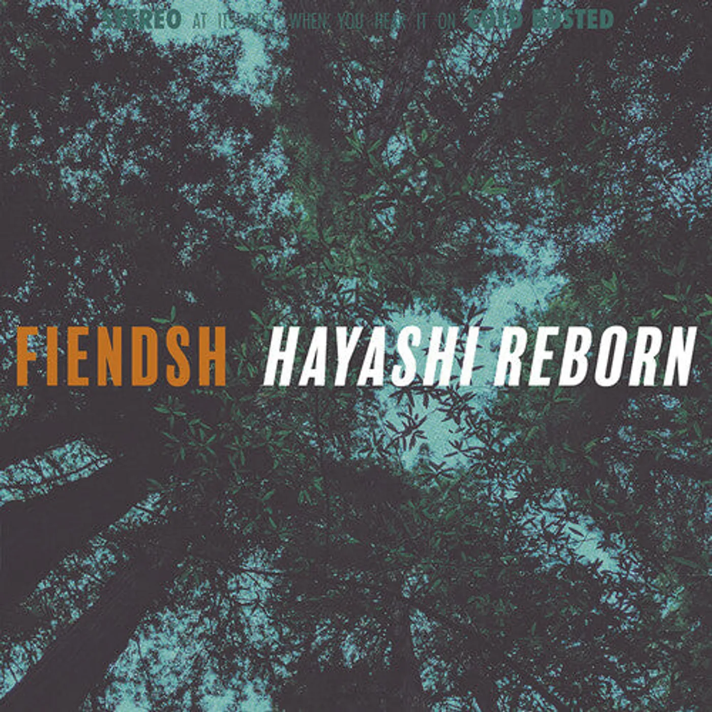 Fiendsh LP Vinyl - Hayashi Reborn