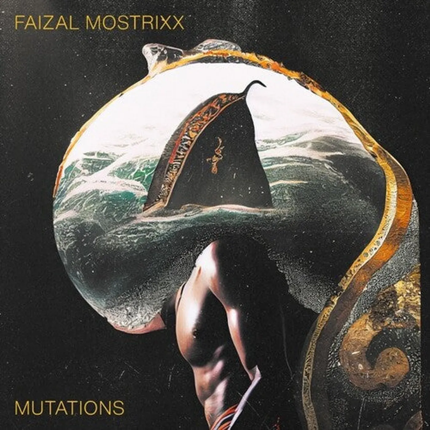 Faizal Mostrixx LP Vinyl - Mutations