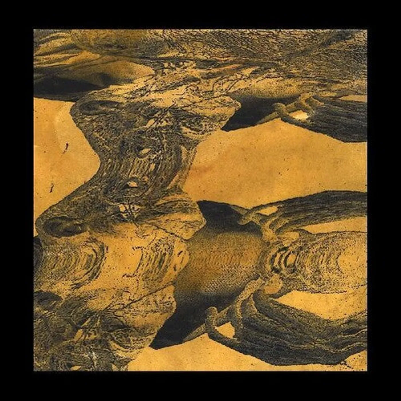 Tashi Dorji LP Vinyl - Tashi Dorji