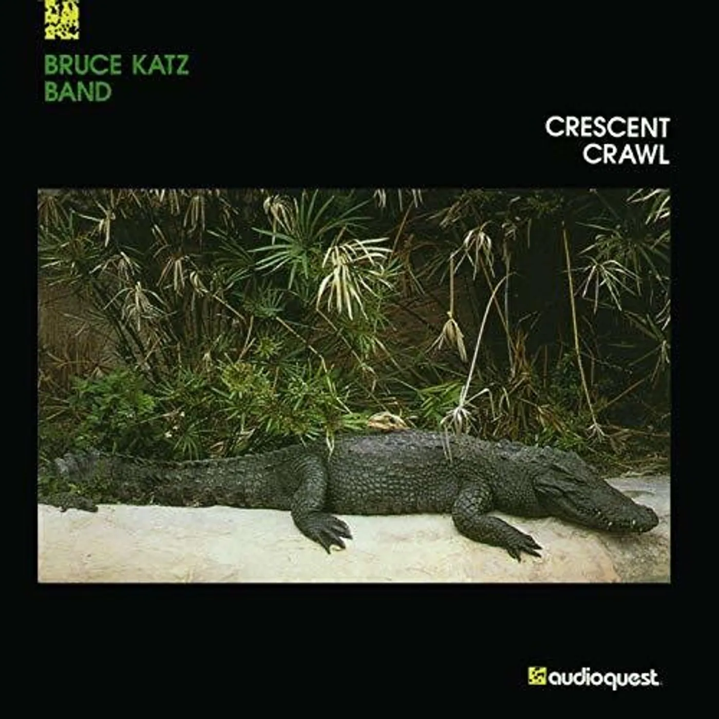 Bruce Katz Band LP Vinyl - Crescent Crawl (Can)