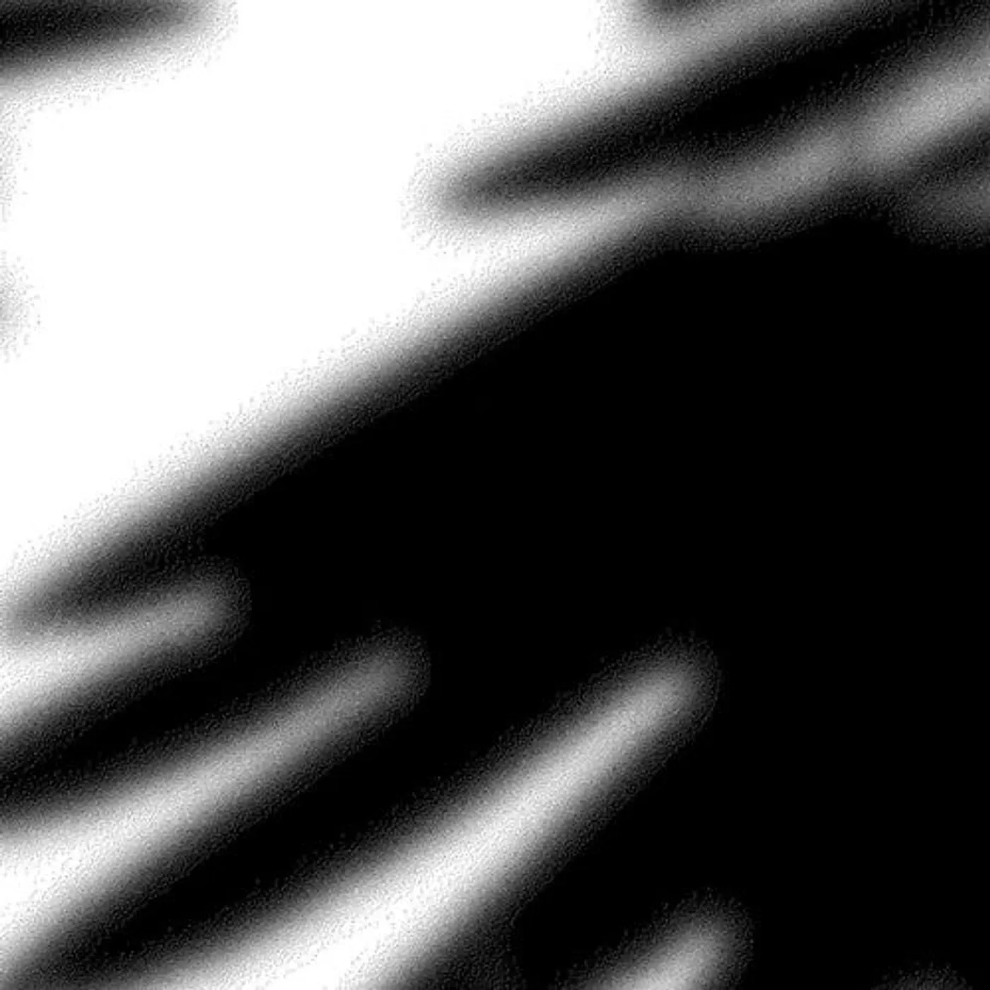 N LP Vinyl - Ravens
