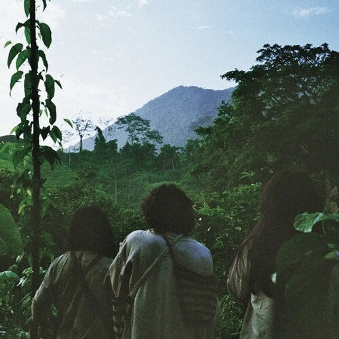 Lion'S Drums LP Vinyl - Kagabas