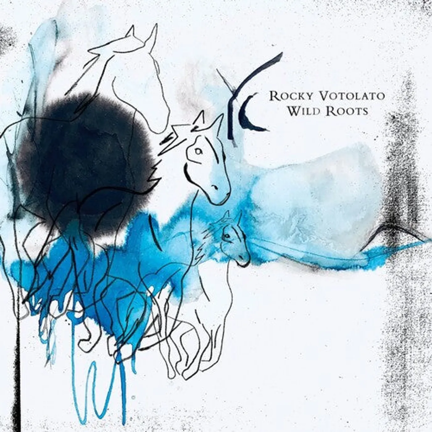 Rocky Votolato LP Vinyl - Wild Roots (Uk)