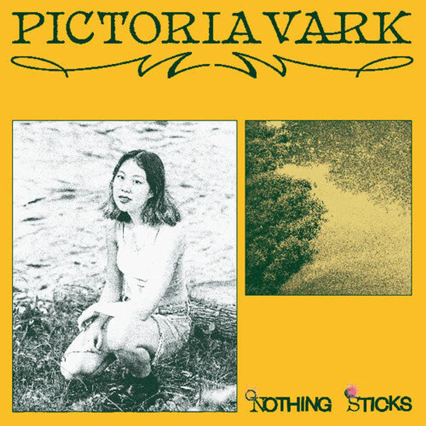 Pictoria Vark LP Vinyl - Nothing Sticks