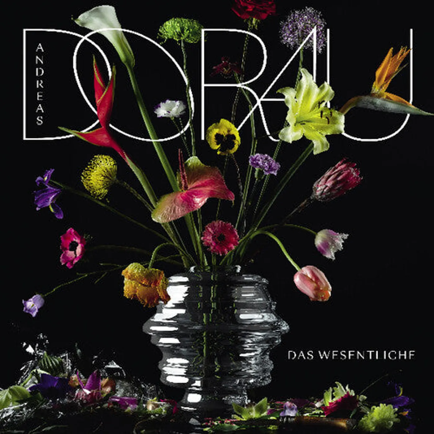 Andreas Dorau LP Vinyl - Das Wesentliche