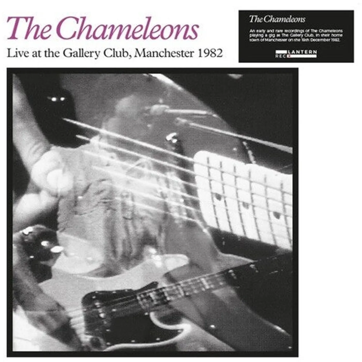 The Chameleons LP Vinyl - Live At The Gallery Club