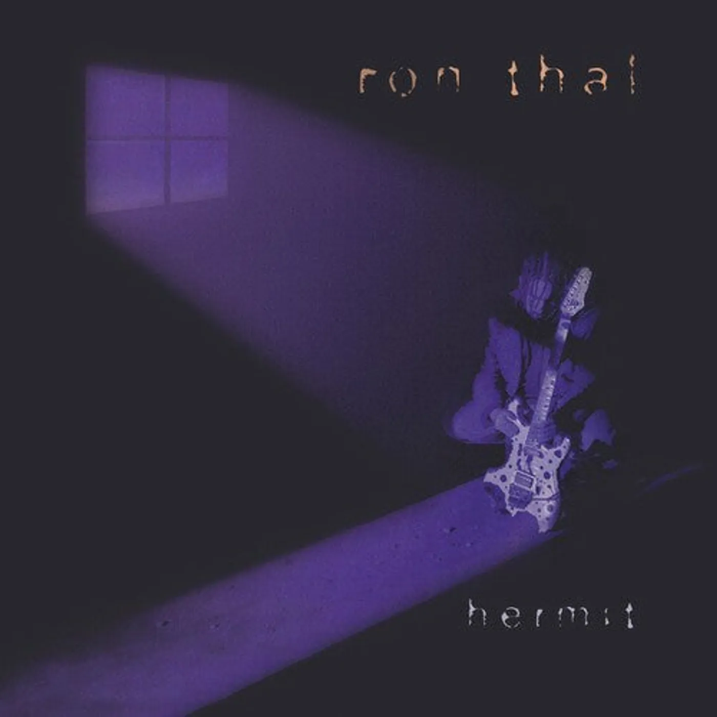 Ron Thal LP Vinyl - Hermit