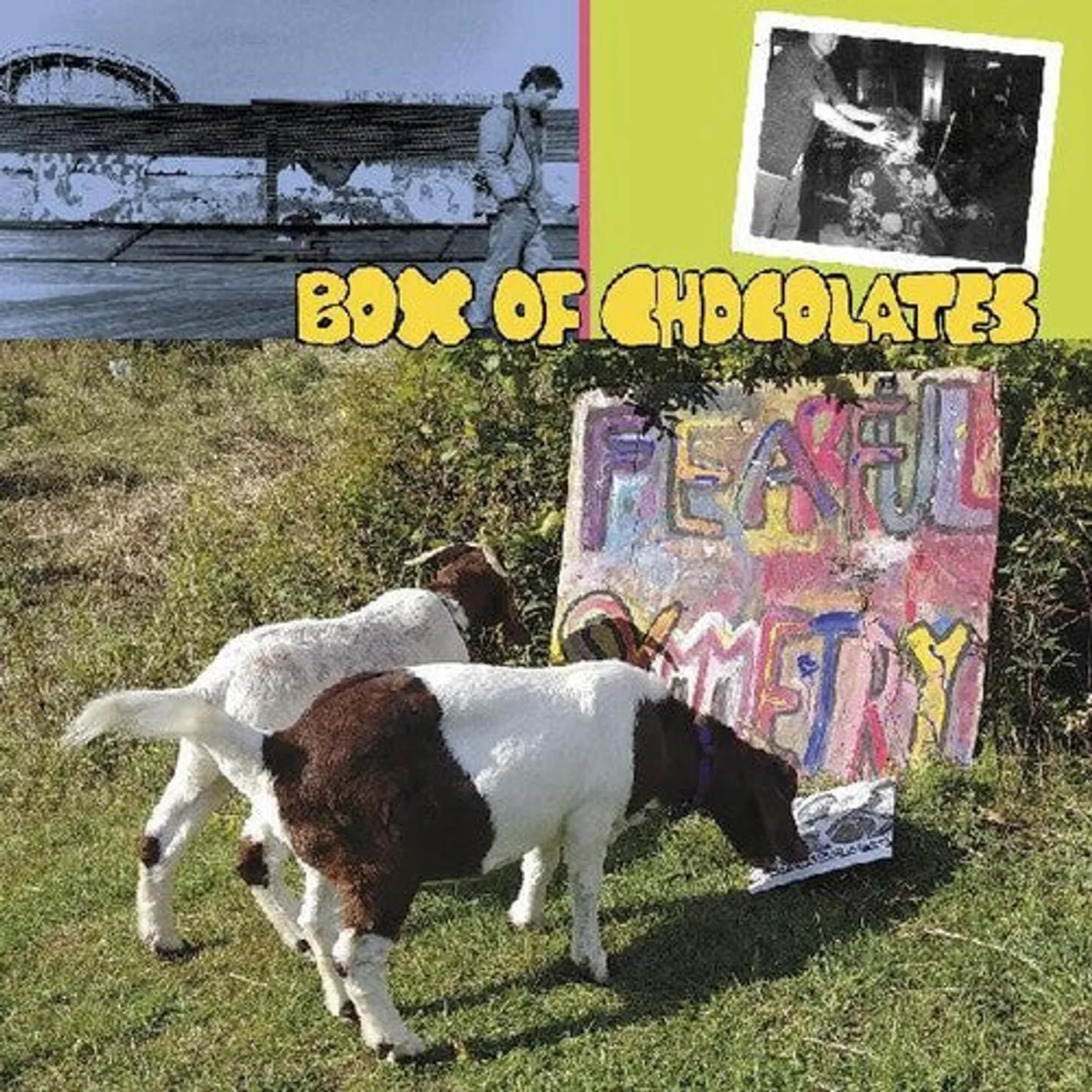 Box Of Chocolates LP Vinyl - Fearful Symmetry