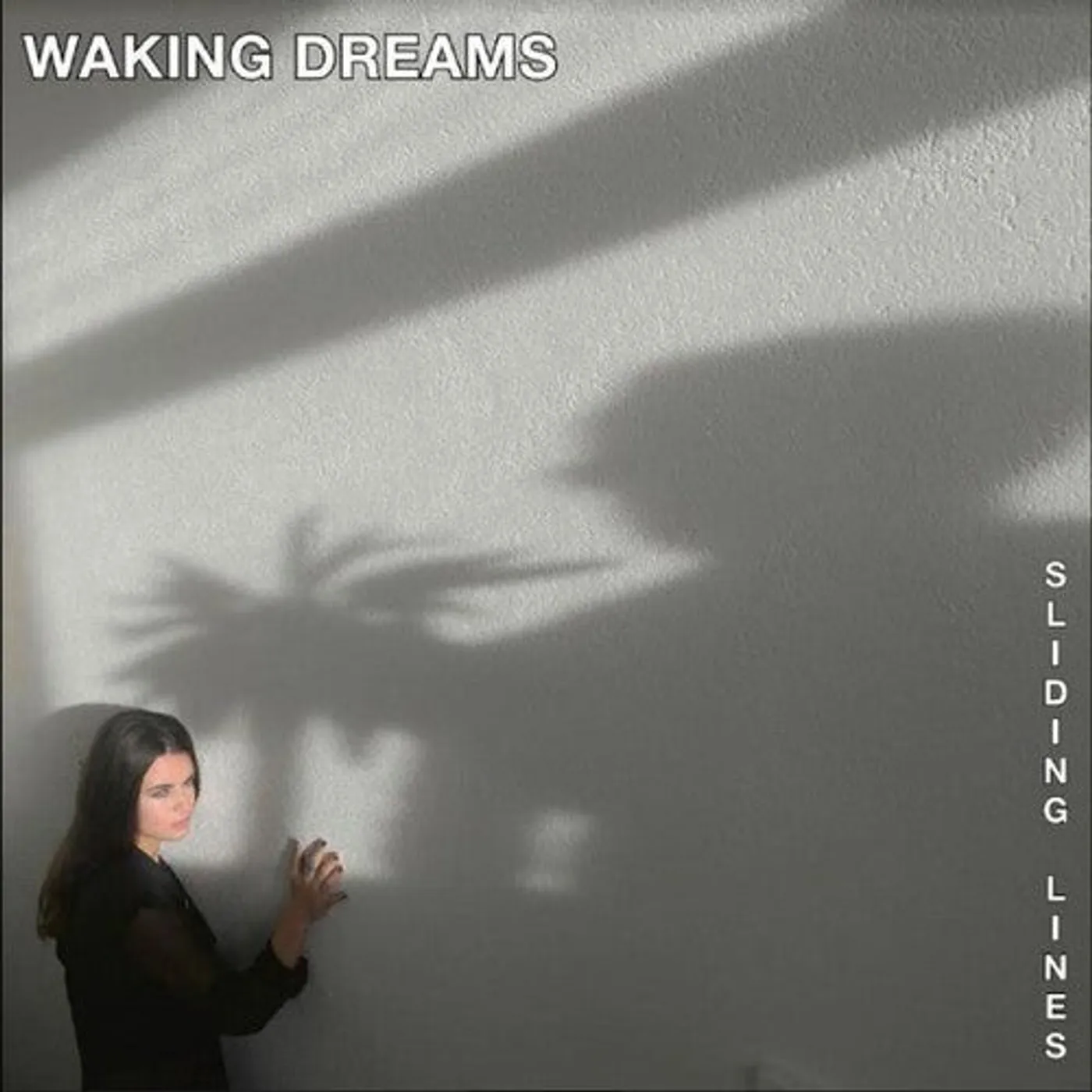 Waking Dreams LP Vinyl - Sliding Lines