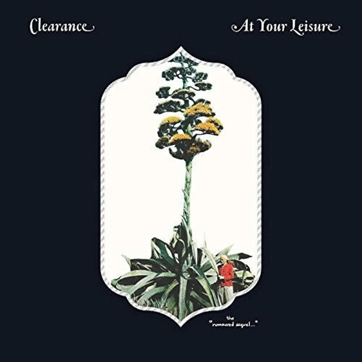 Clearance LP Vinyl - At Your Leisure