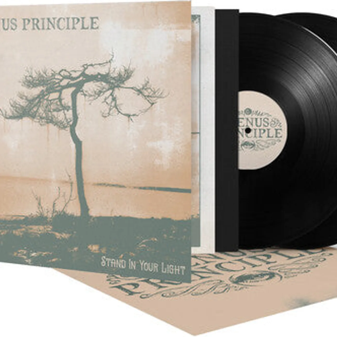 Venus Principle LP Vinyl - Stand In Your Light (Gate Fold)