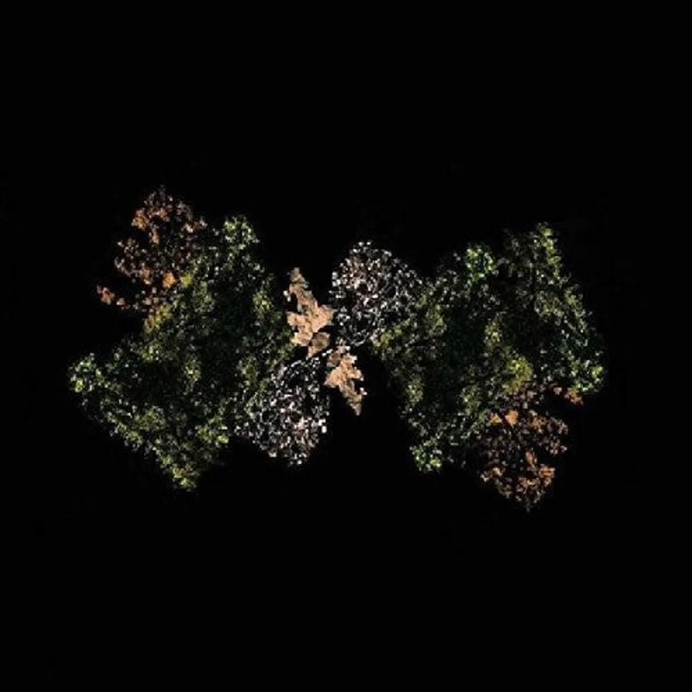Woodsman LP Vinyl - Woodsman (Coloured Vinyl) (Dlcd)