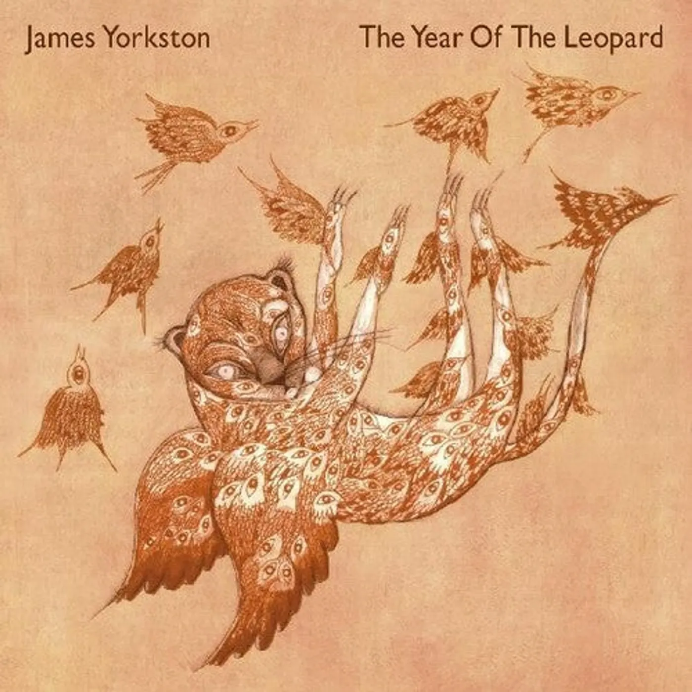 James Yorkston LP Vinyl - Year Of The Leopard (Dlcd)