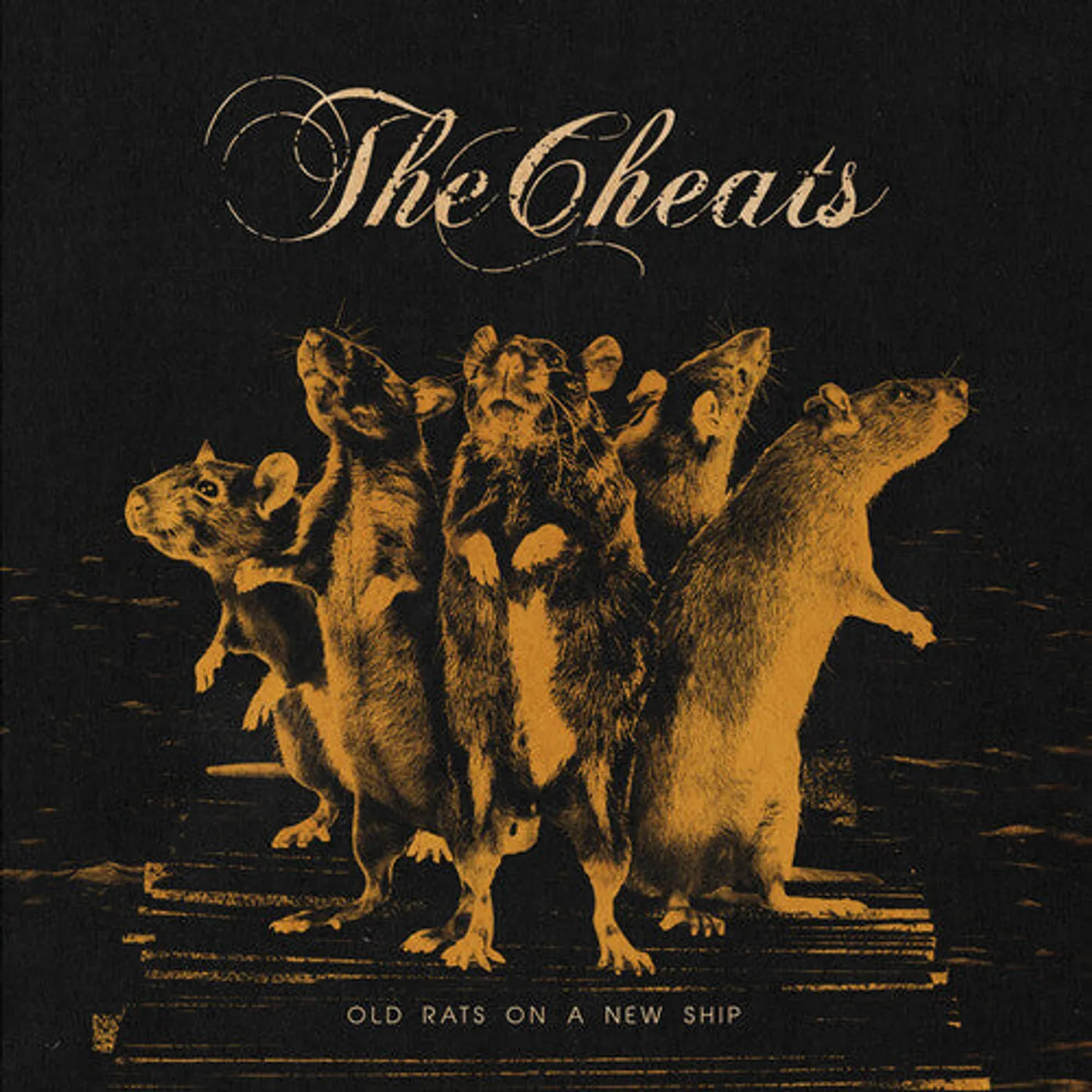 Cheats LP Vinyl - Old Rats On A New Ship
