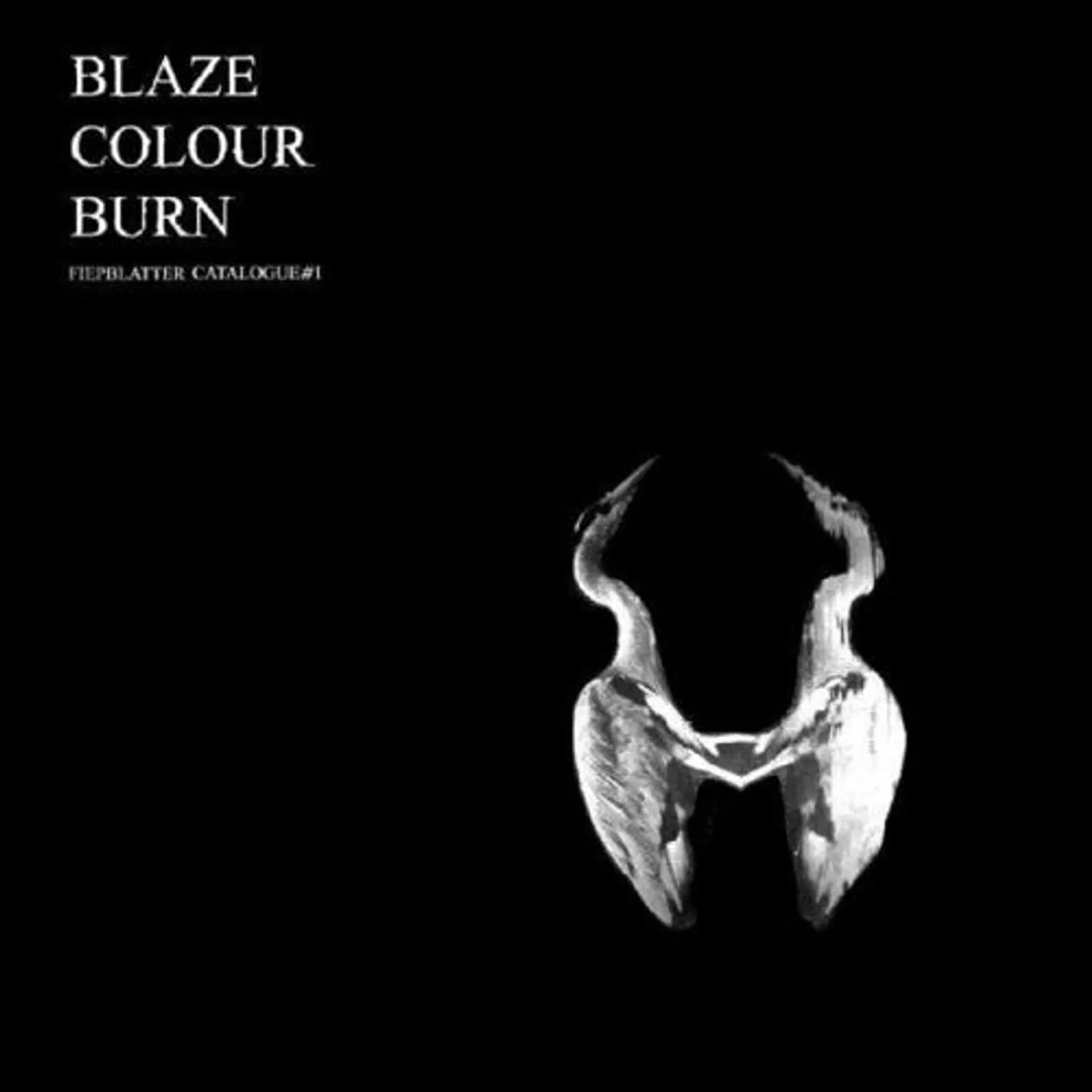 Jan St. Werner LP Vinyl - Blaze Colour Burn (Dbtr)