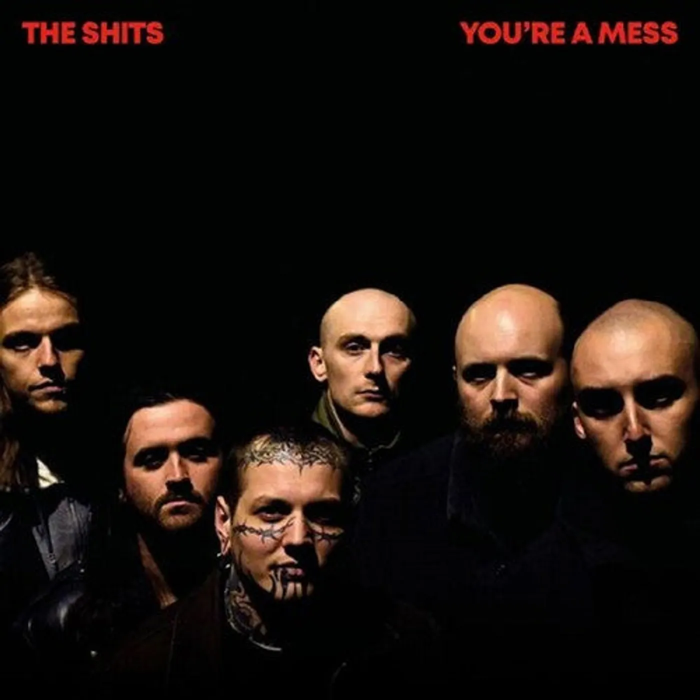 The Shits LP Vinyl - You'Re A Mess