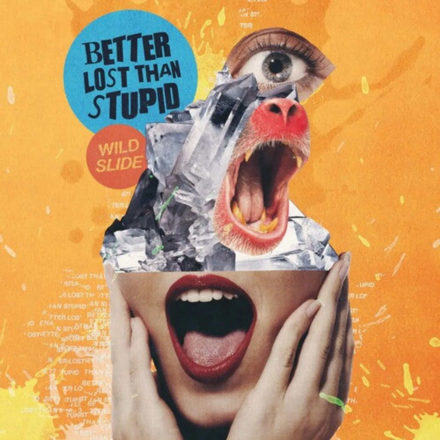 Better Lost Than Stupid LP Vinyl - Wild Slide (Gate Fold)