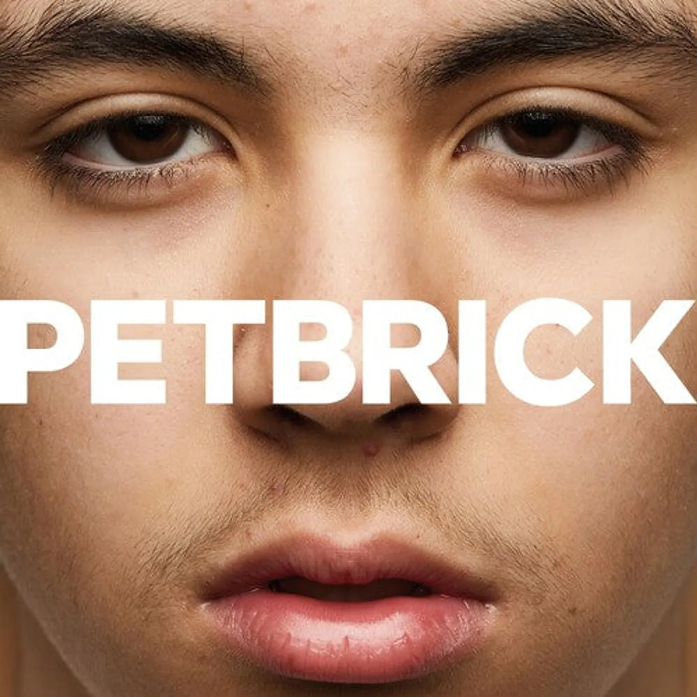 Petbrick LP Vinyl - I