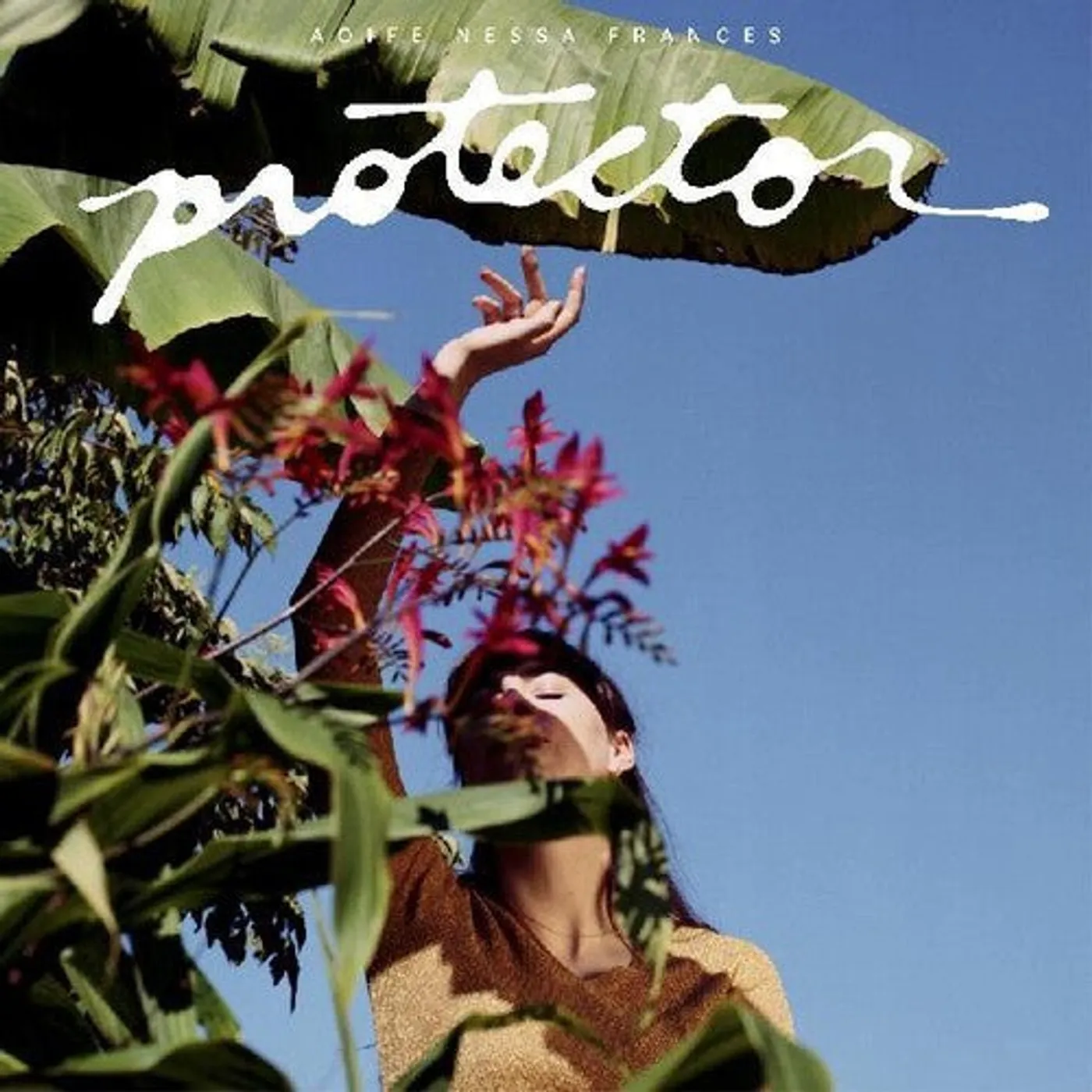 Aoife Nessa Frances LP Vinyl - Protector