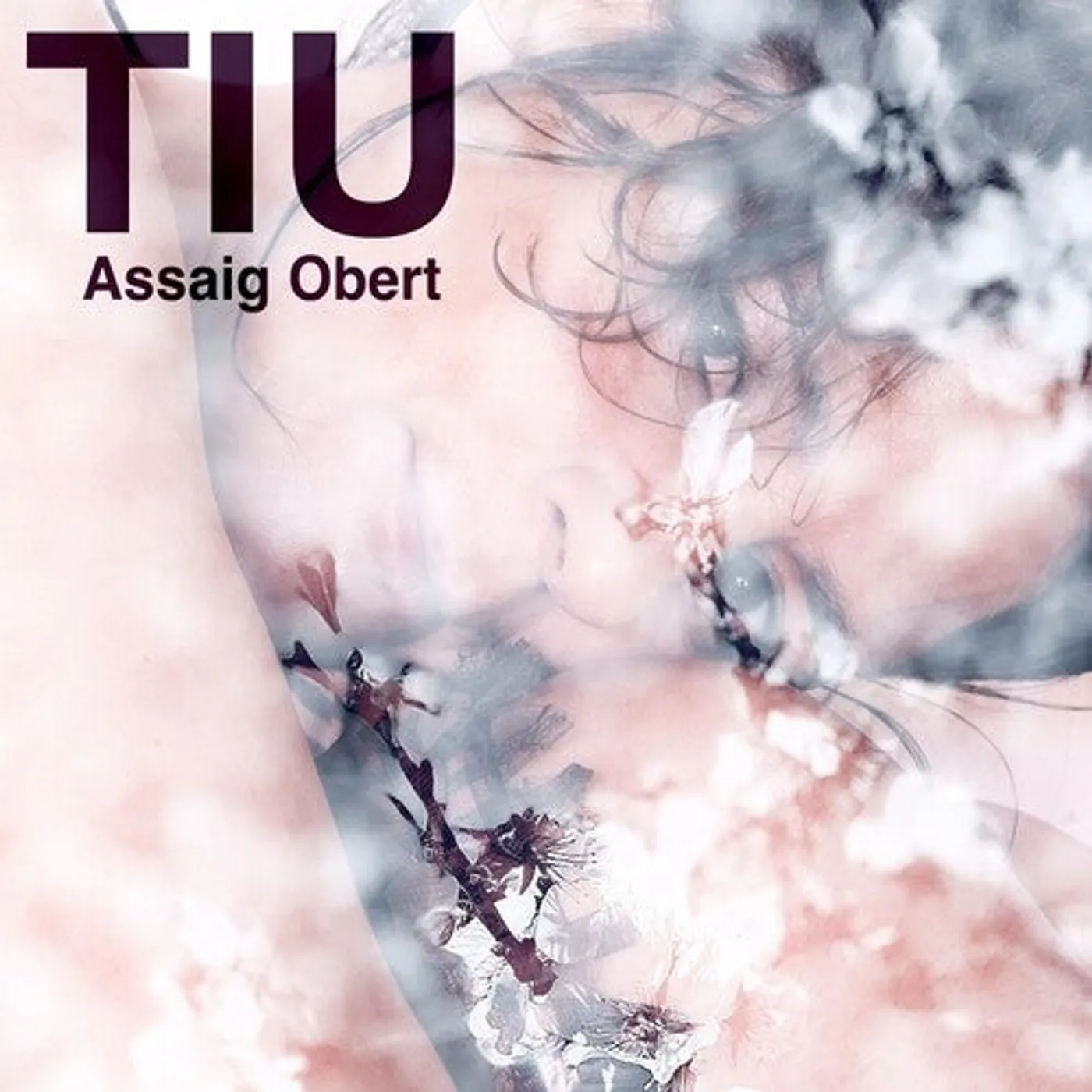 Tiu LP Vinyl - Assaig Obert (Spa)