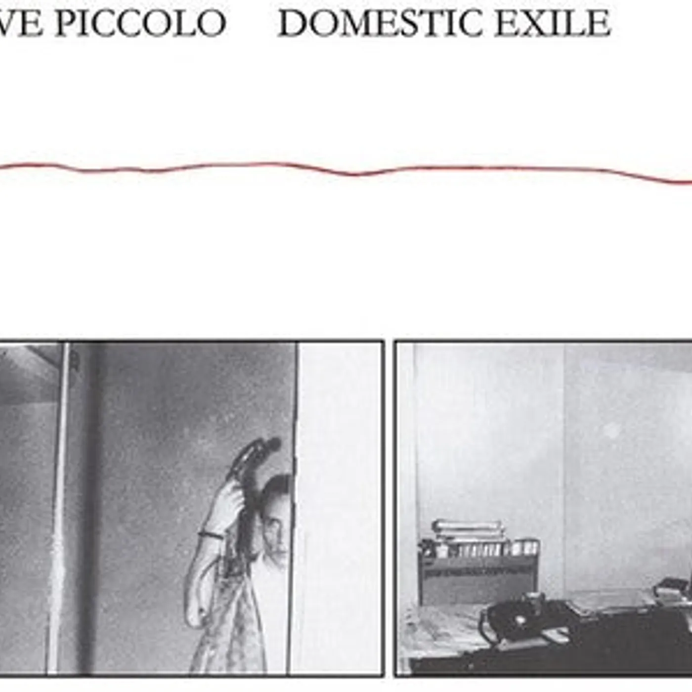 Steve Piccolo LP Vinyl - Domestic Exile