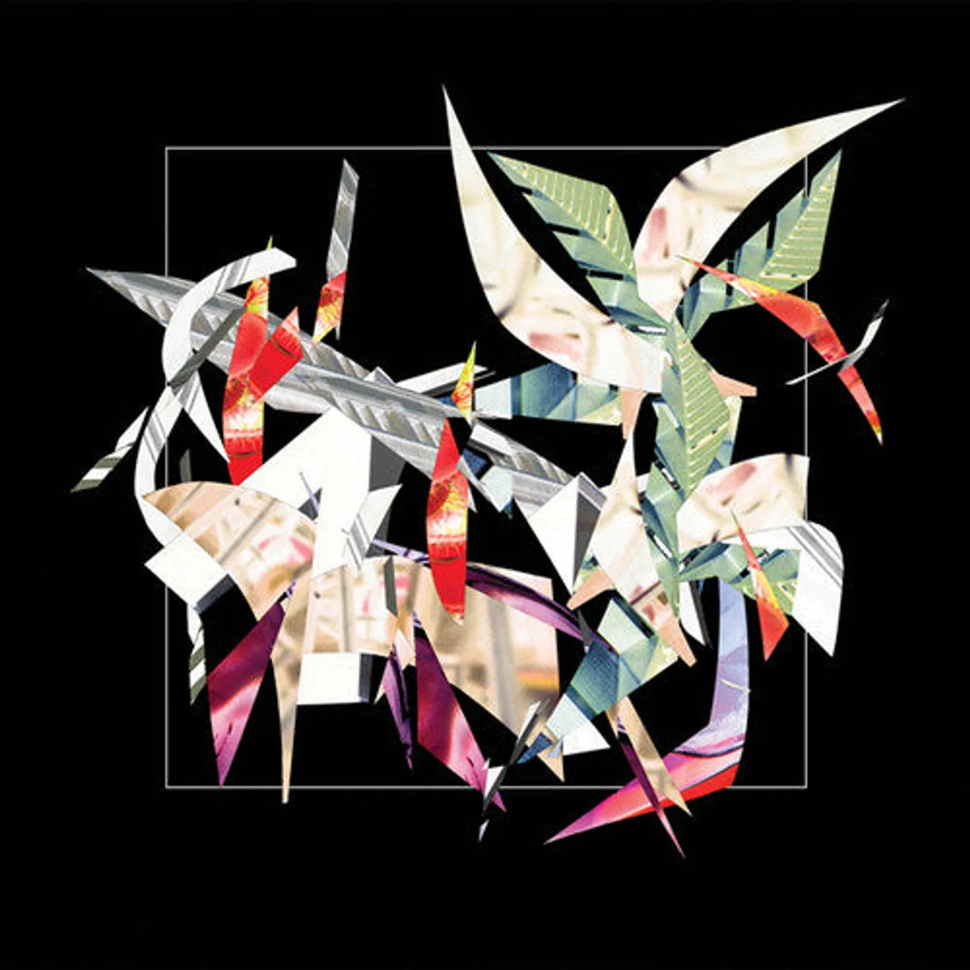 Tiger Hatchery LP Vinyl - Breathing In The Walls