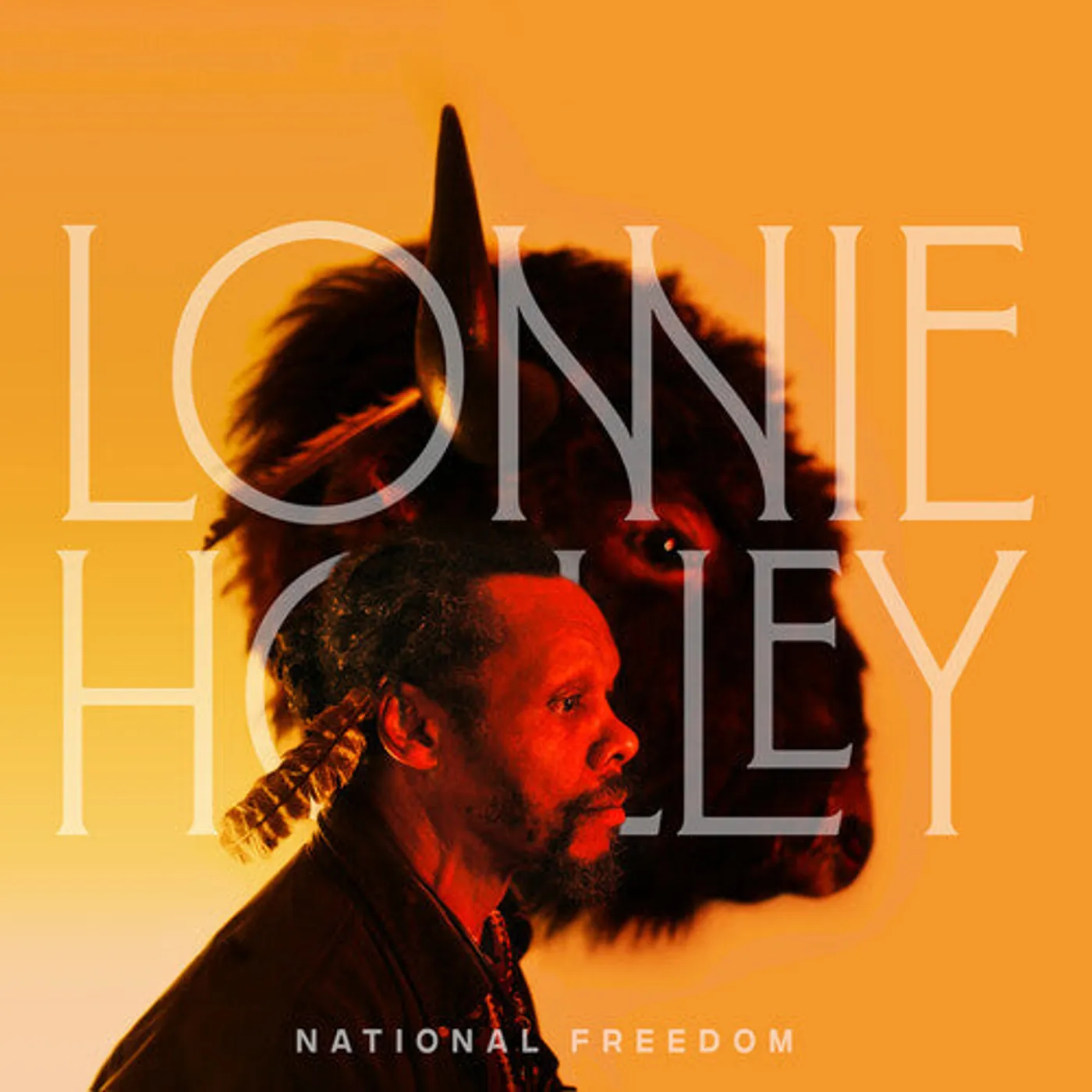 Lonnie Holley LP Vinyl - National Freedom