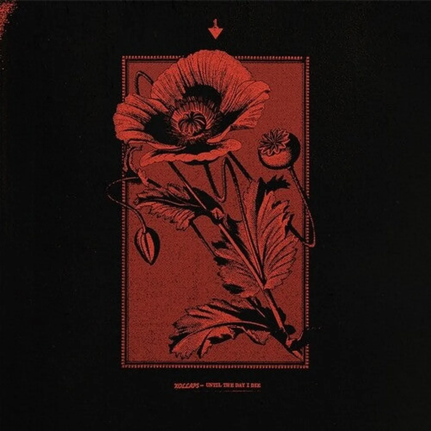 Kollaps LP Vinyl - Until The Day I Die