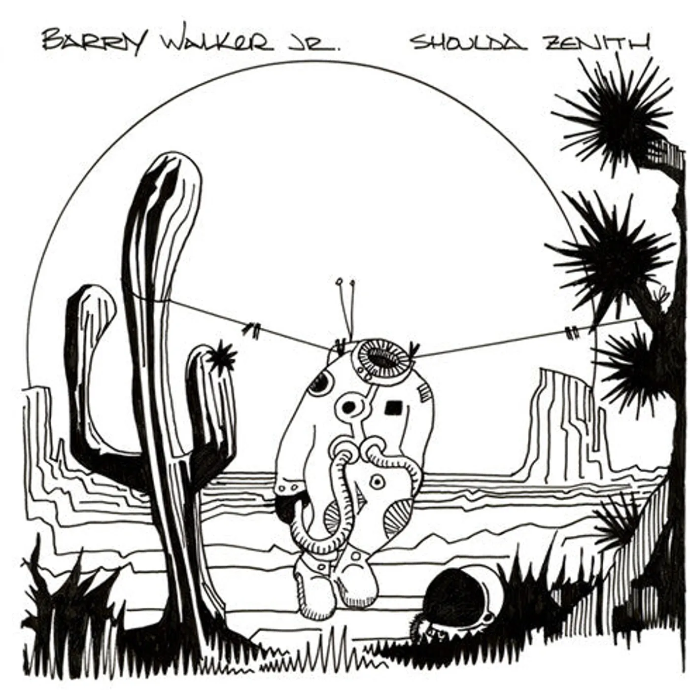 Barry Walker Jr. LP Vinyl - Shoulda Zenith