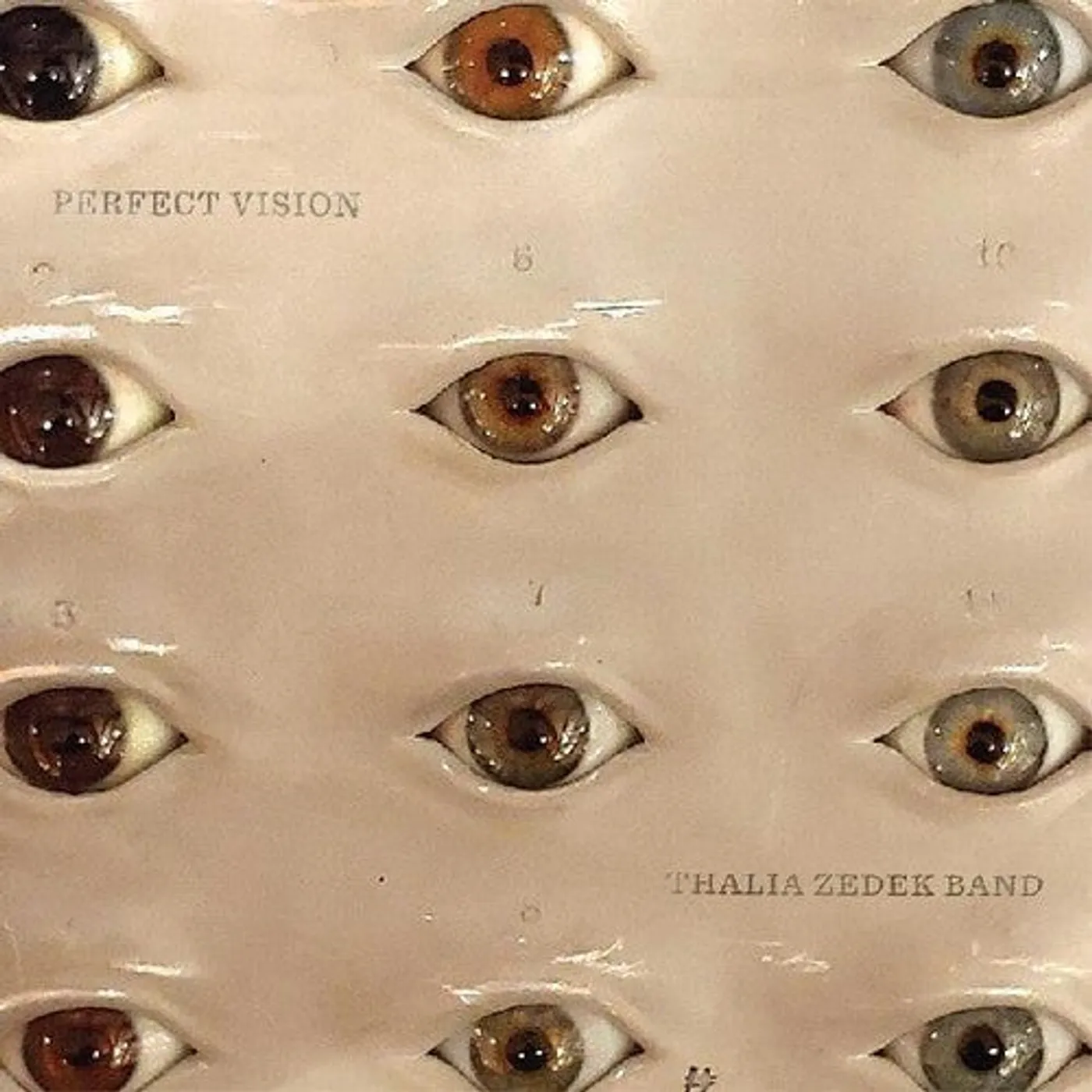 Thalia Zedek LP Vinyl - Perfect Vision (Dlcd)