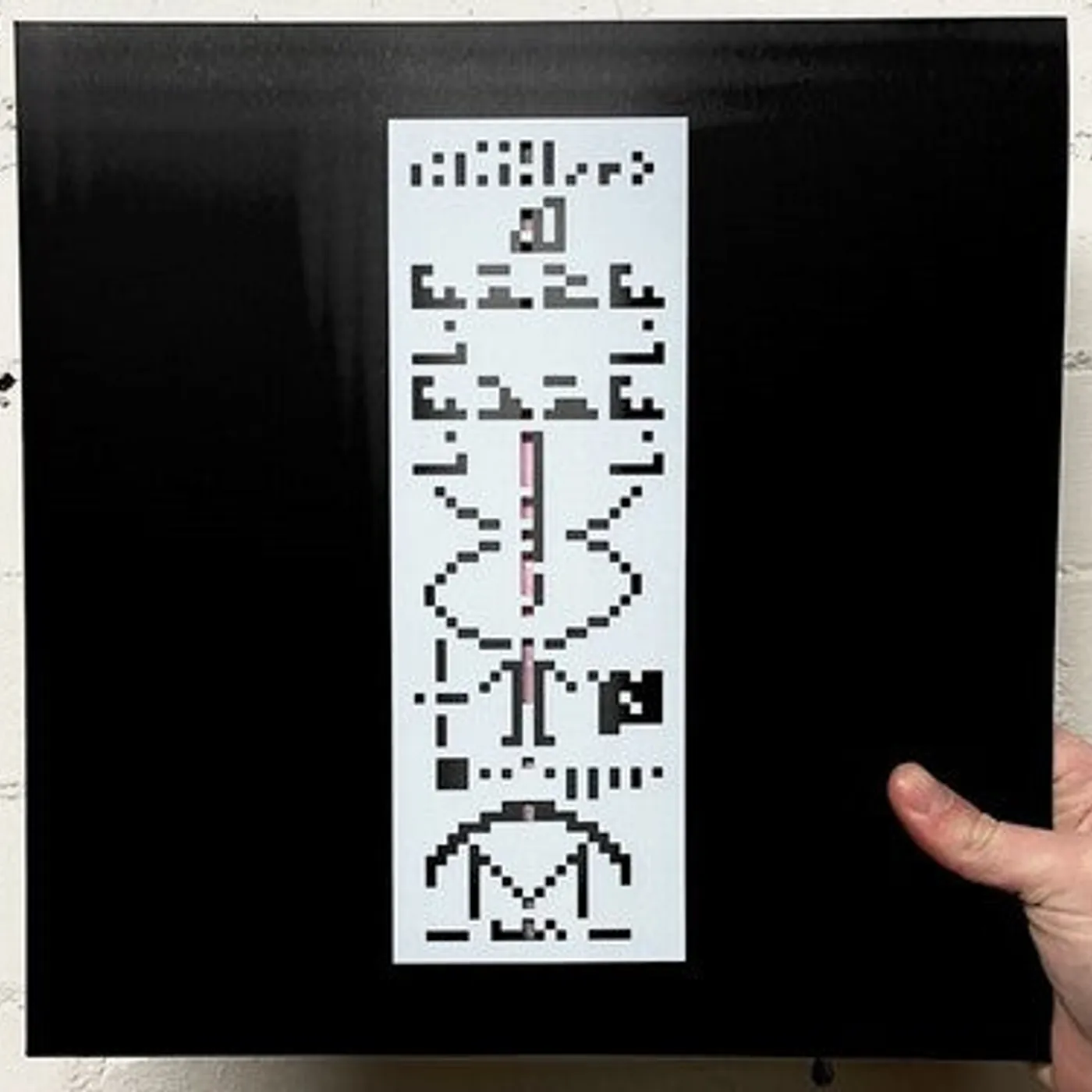Red Snapper LP Vinyl - Everybody Is Somebody