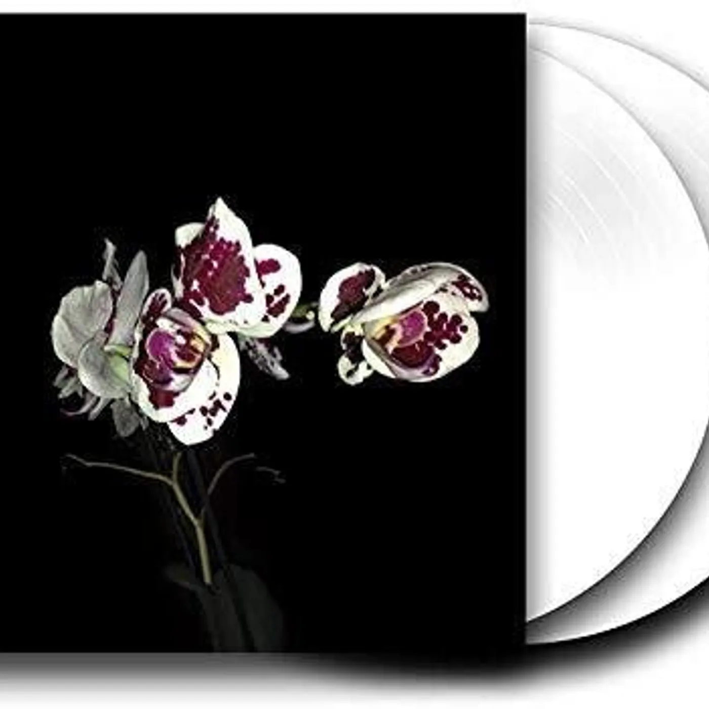 Afterhours LP Vinyl - Folfiri O Folfox (Wht) (Ita)