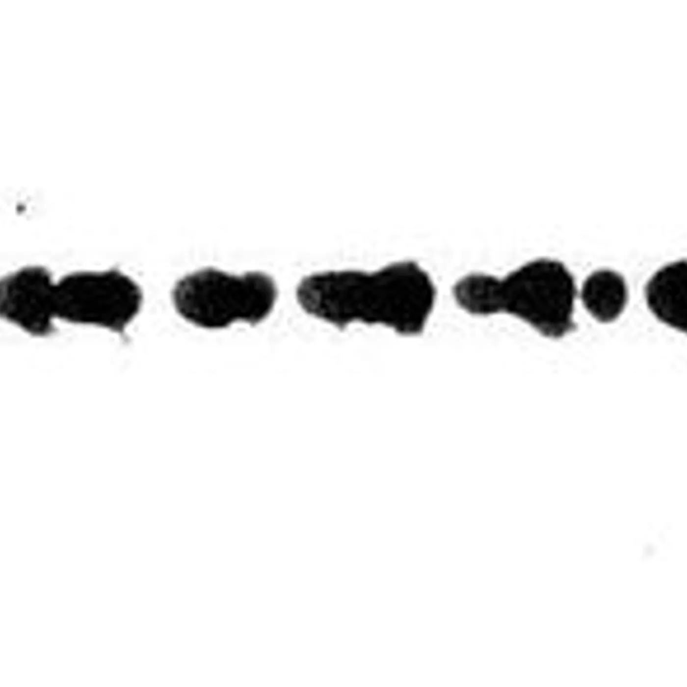 Alessandro Cortini LP Vinyl - Risveglio