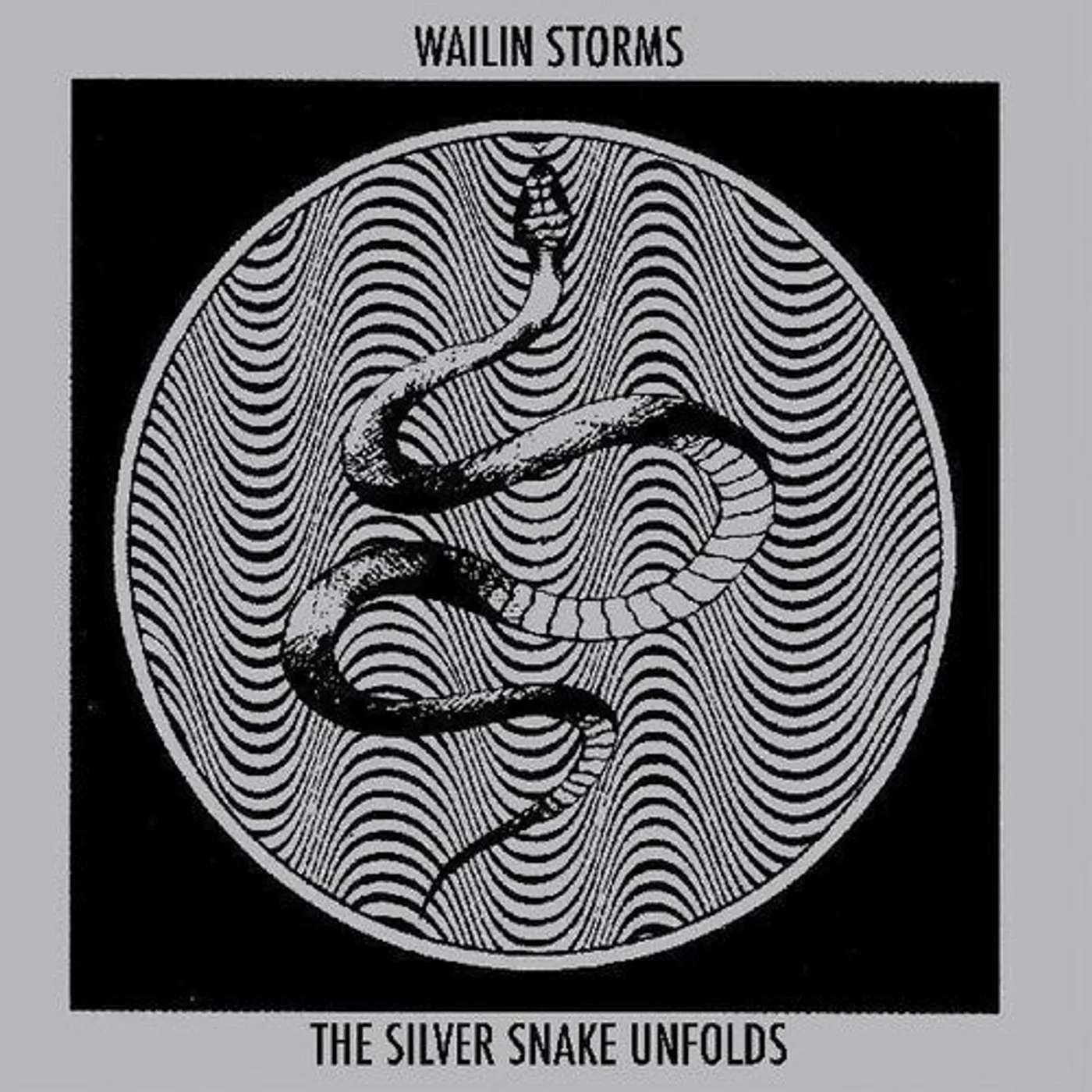 Wailin' Storms LP Vinyl - Silver Snake Unfolds (Blue) (Cvnl)