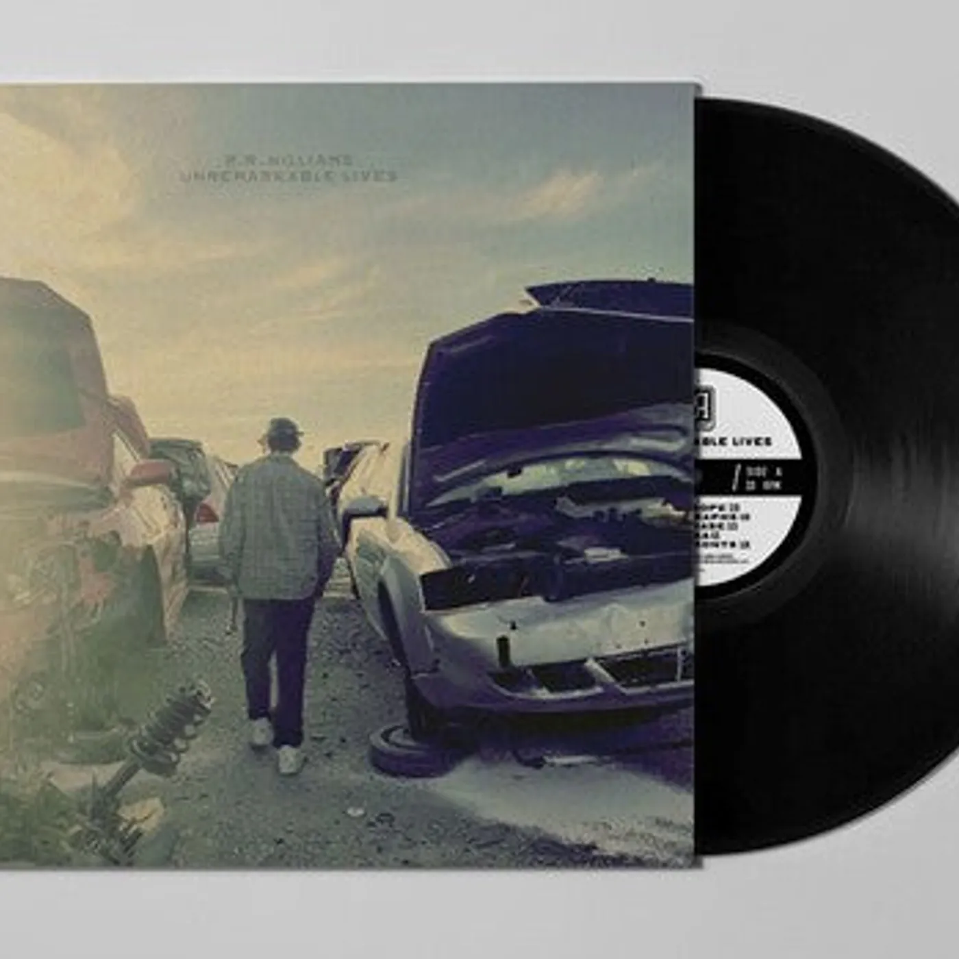 R.R. Williams LP Vinyl - Unremarkable Lives