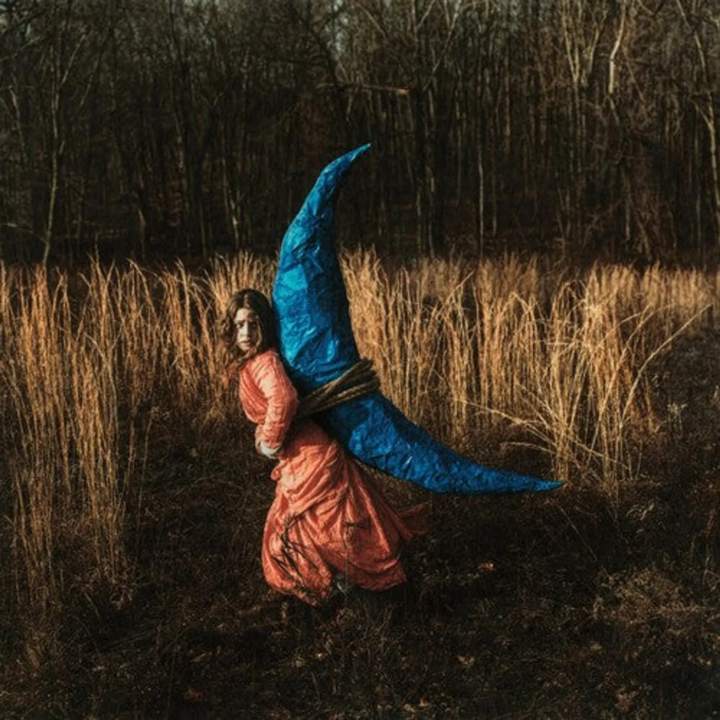 Holly Miranda LP Vinyl - Mutual Horse