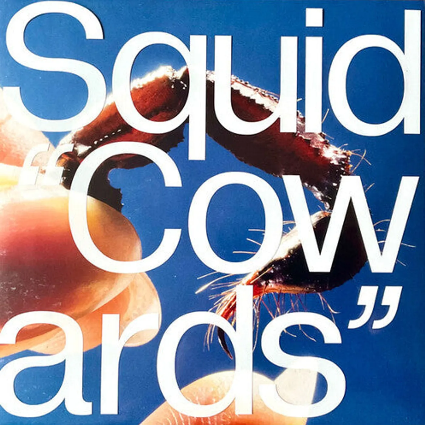 Squid LP Vinyl - Cowards (Dlx) (Aus)