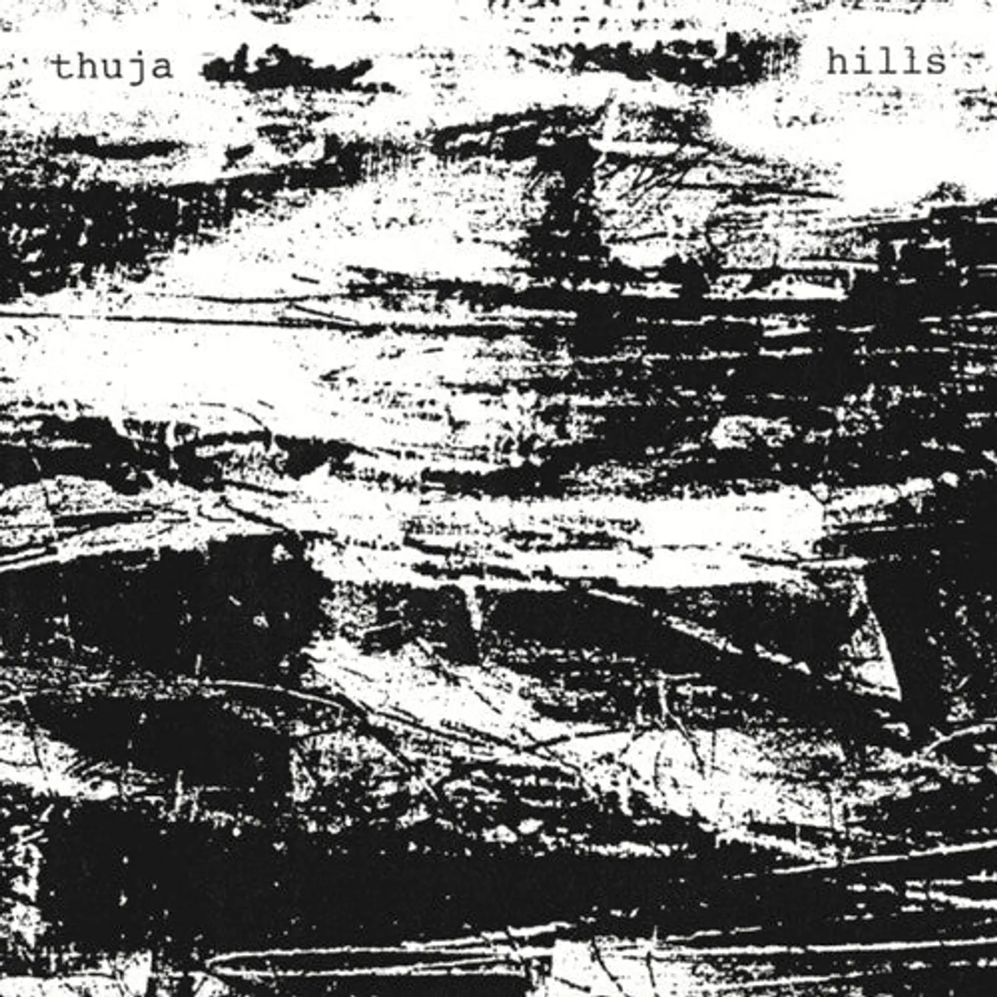Thuja LP Vinyl - Hills