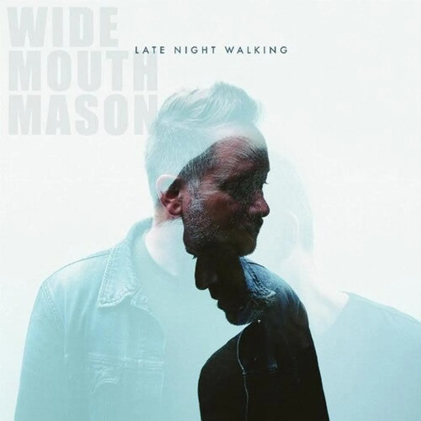 Wide Mouth Mason LP Vinyl - Late Night Walking