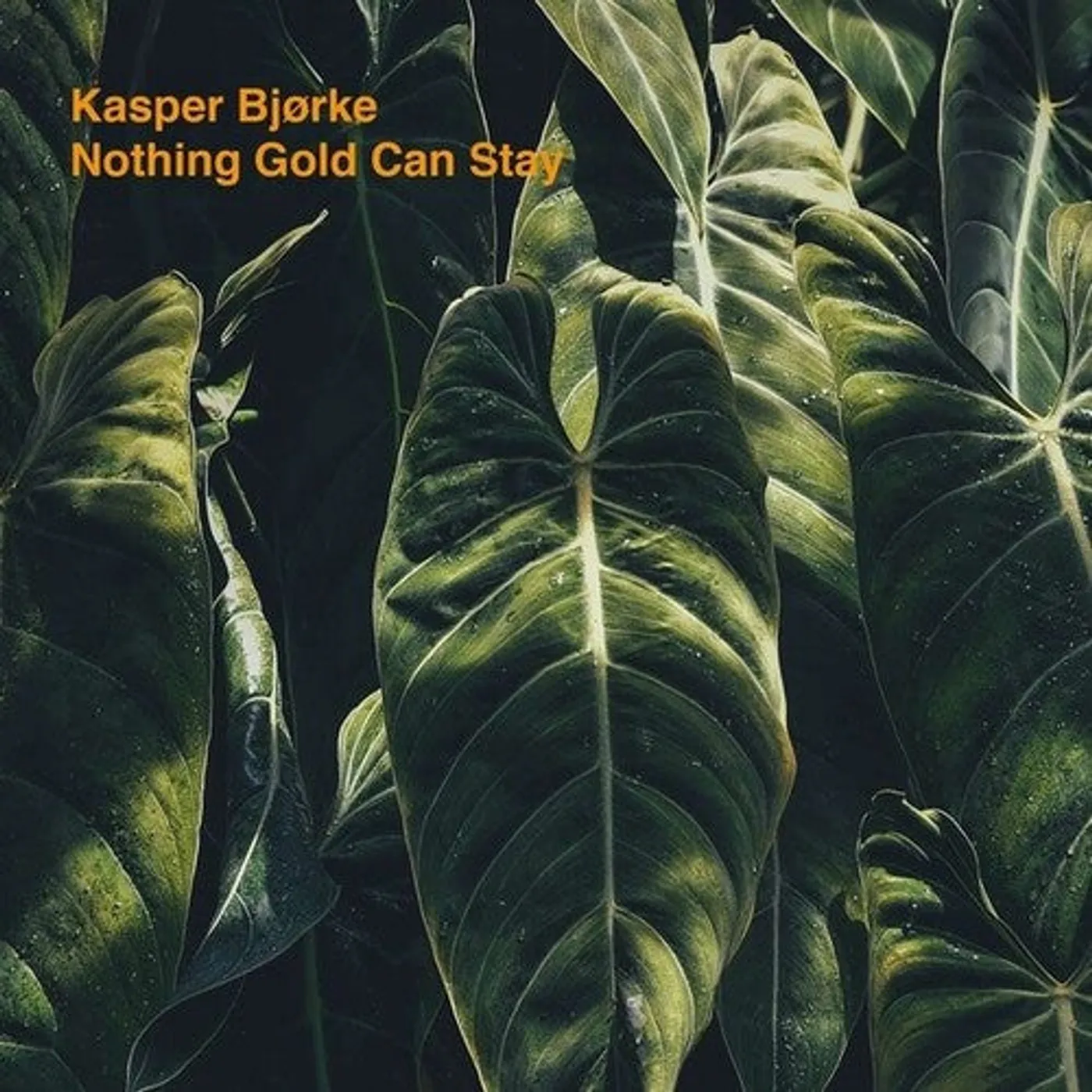 Kasper Bjorke LP Vinyl - Nothing Gold Can Stay