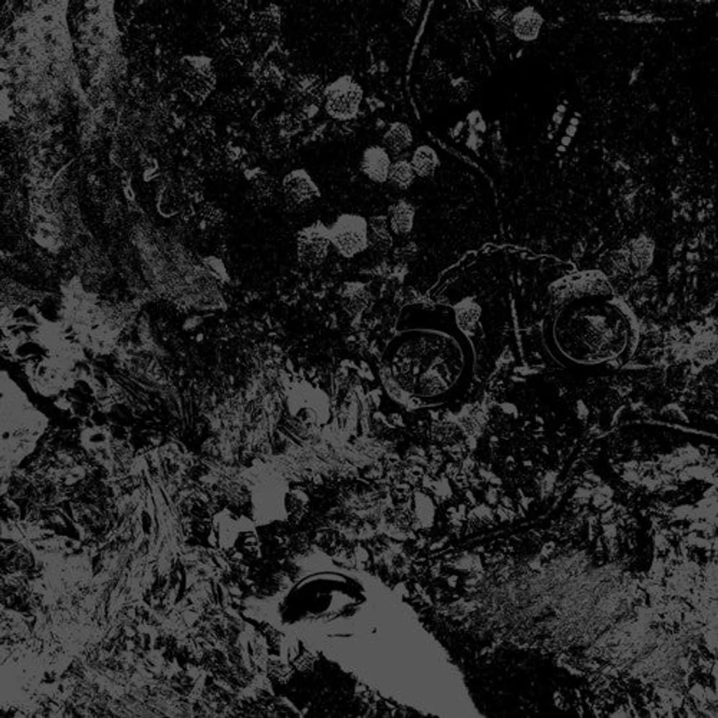Primitive Man  LP Vinyl - Split