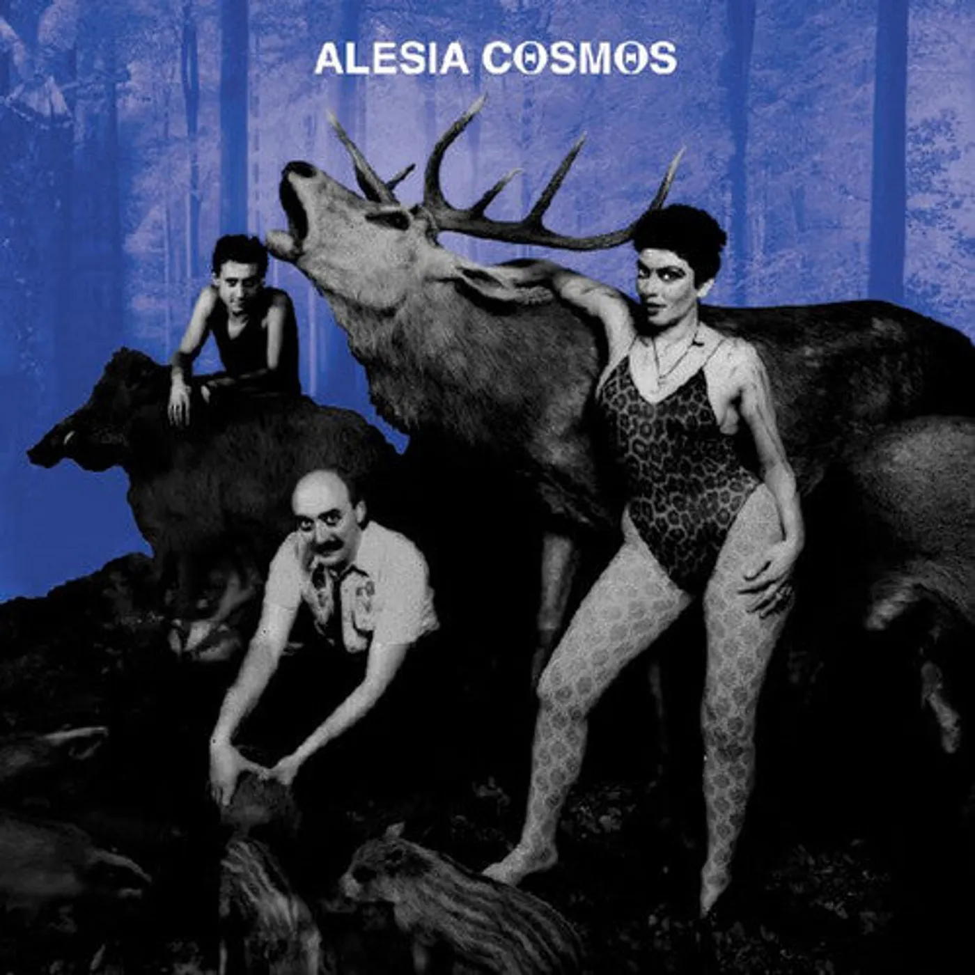 Alesia Cosmos