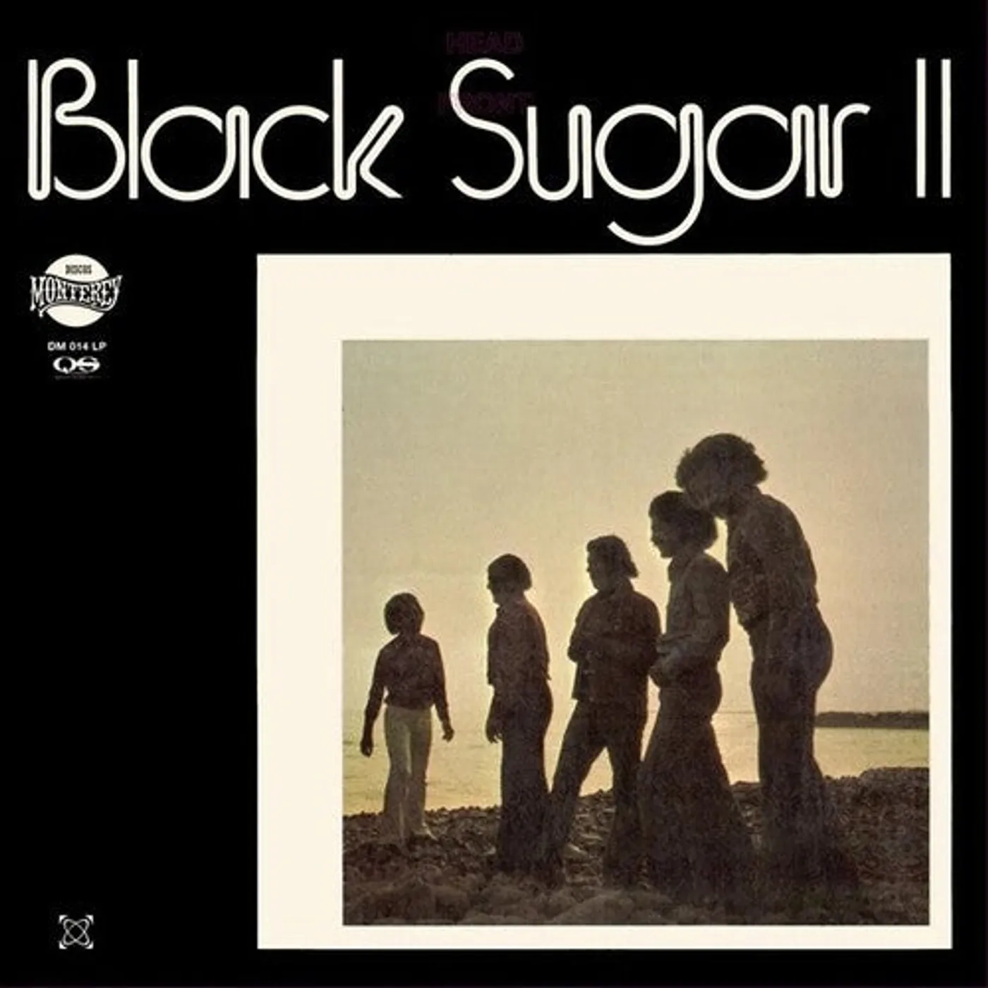 Black Sugar LP Vinyl - Black Sugar Ii