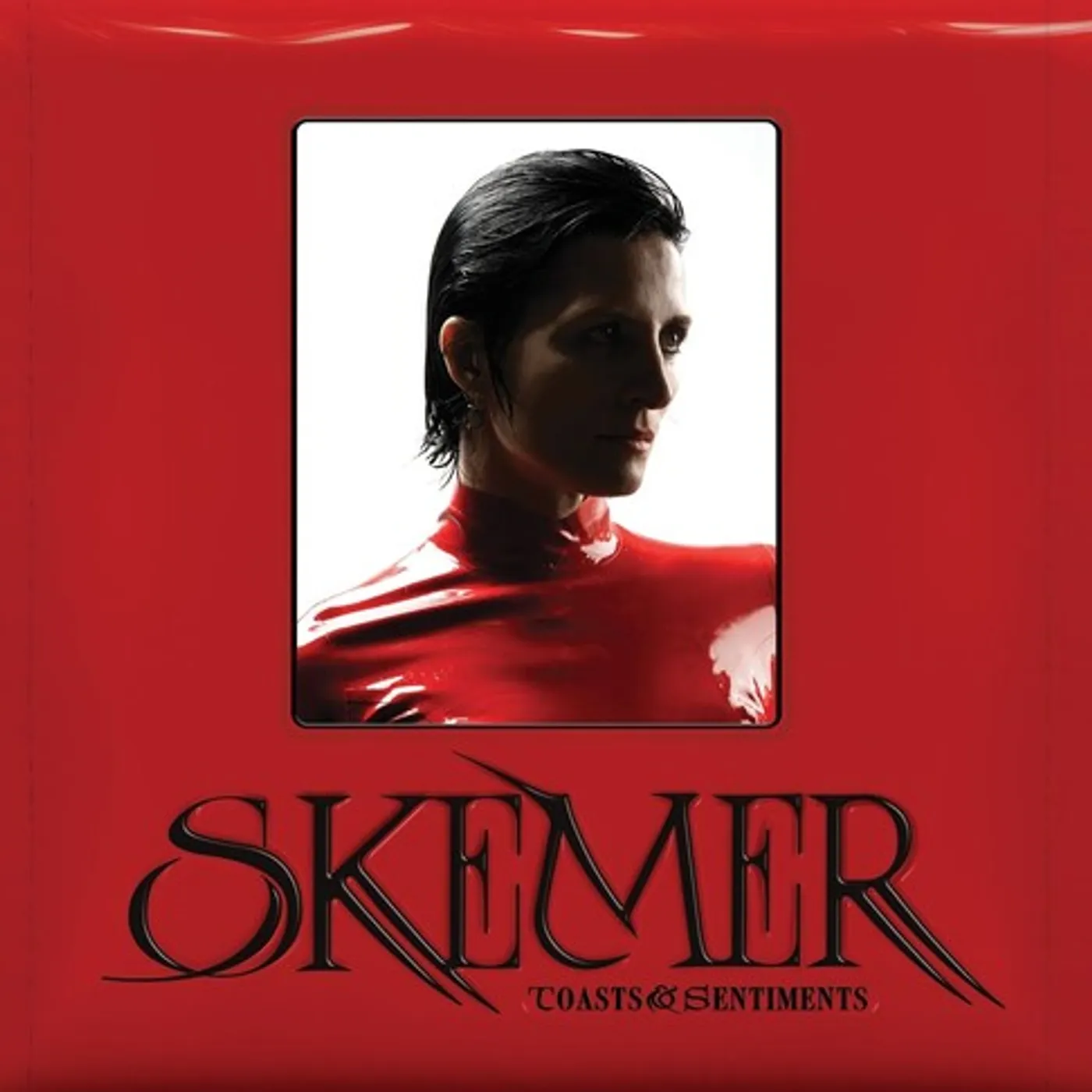 Skemer LP Vinyl - Toasts & Sentiments (Uk)