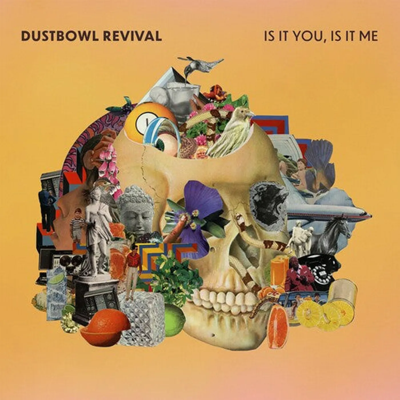 Dustbowl Revival LP Vinyl - Is It You, Is It Me