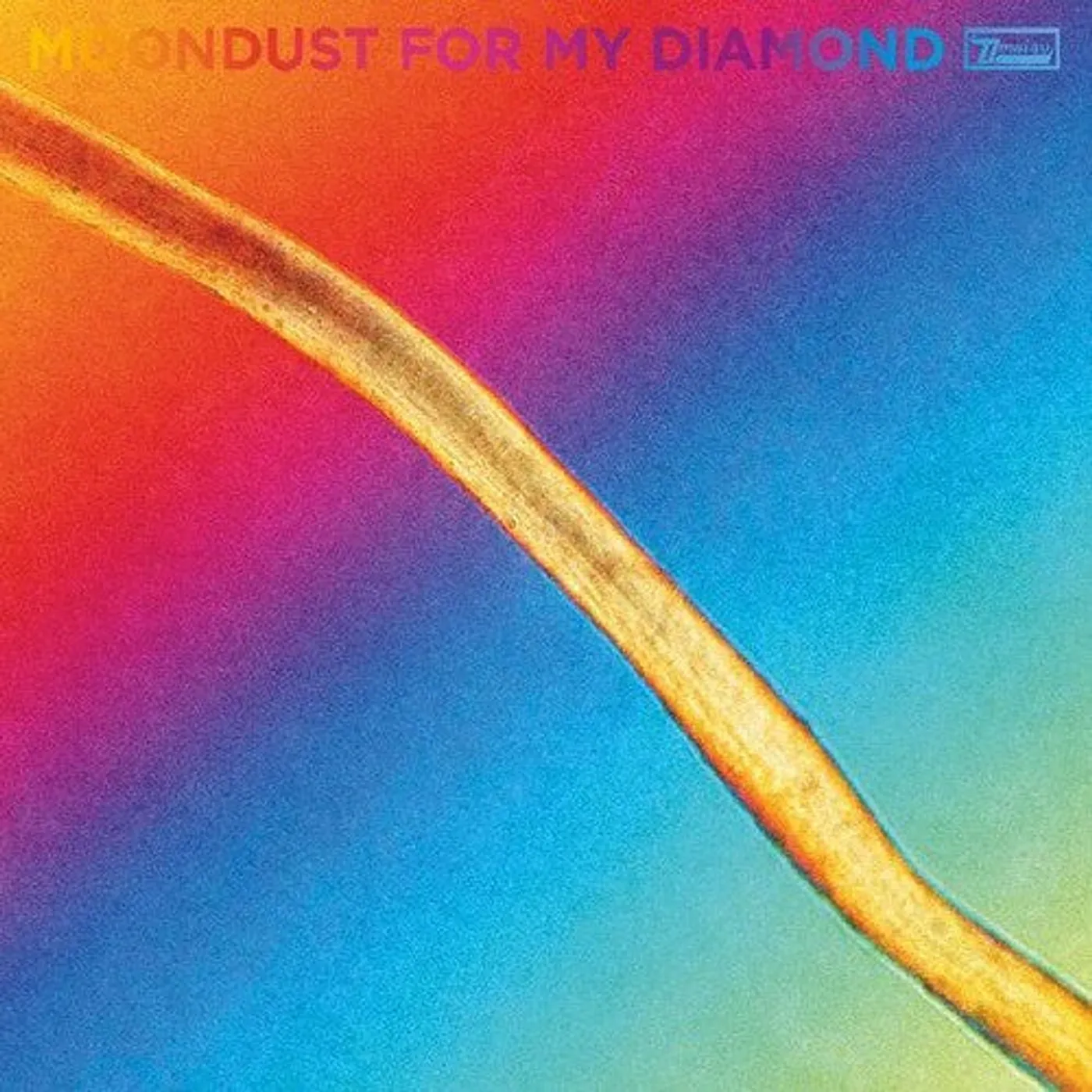 Hayden Thorpe LP Vinyl - Moondust For My Diamond (Blk) (Dlcd)